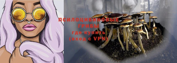 крисы Алексеевка