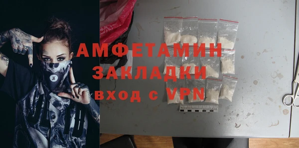 СК Алексин