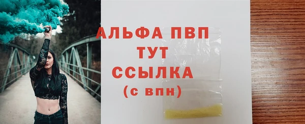 СК Алексин