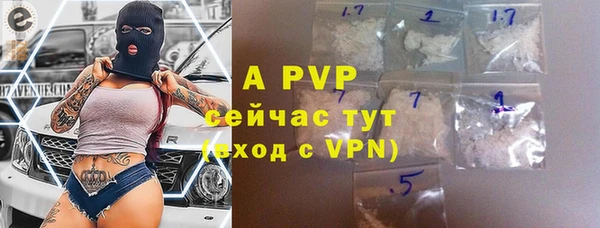 СК Алексин